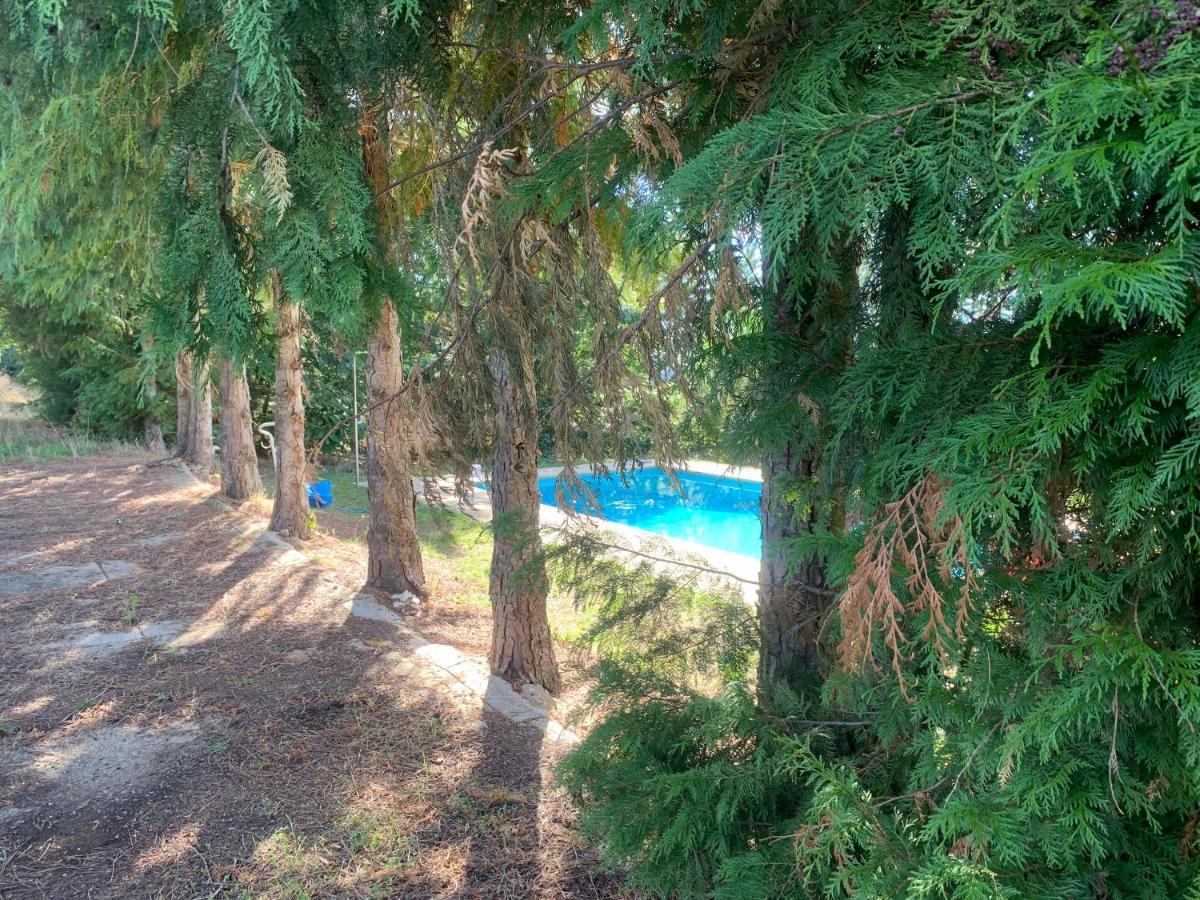 Casa De Pereiras, Vimiosoヴィラ エクステリア 写真